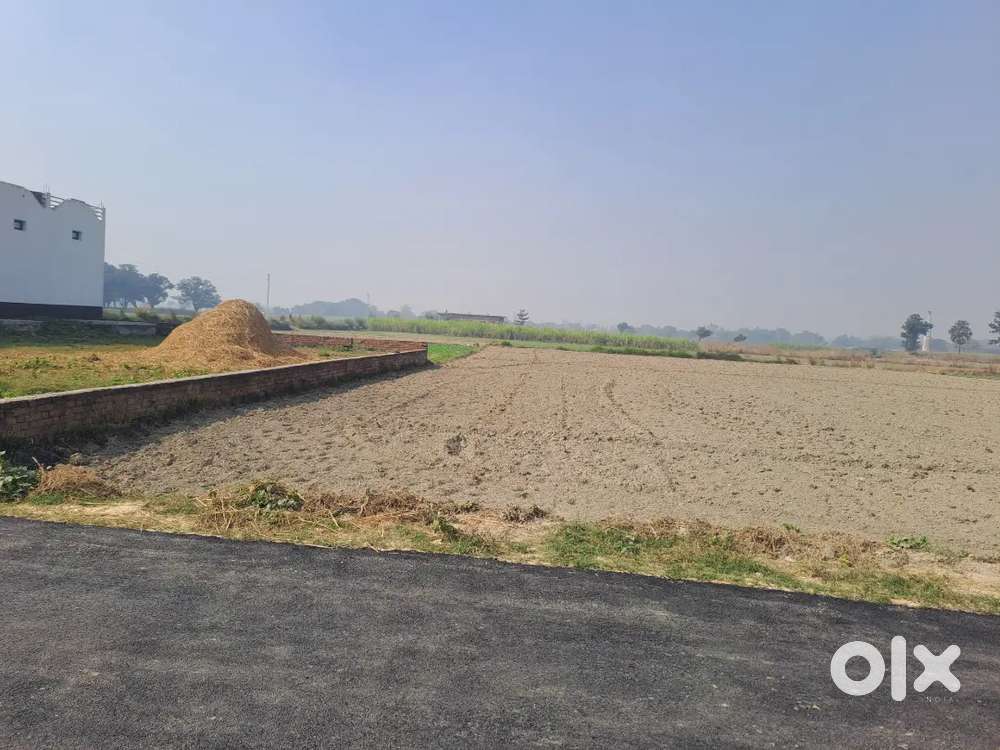 Ek 18 bissa commercial hai ek 28 bissa hai 6 bissa hai aur 10 bissa ha