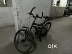 Monoshok , 7 Year old