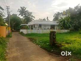 15 Cent House Plot For Sale Near Kadunjalloor Nearest Temple Area