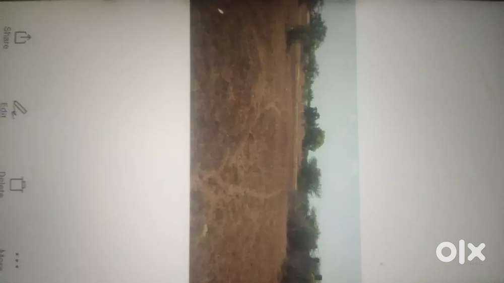 Plot for sales