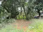 Aluva paravur bus route frend 18 cent orginal land Per cent ₹10 lakh