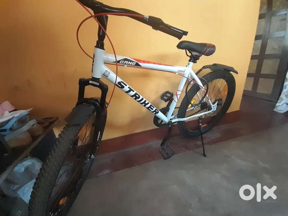 Gang strider 1 year old unused cycle