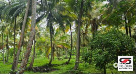 Farmland for sale in Kozhinjampara, Palakkad