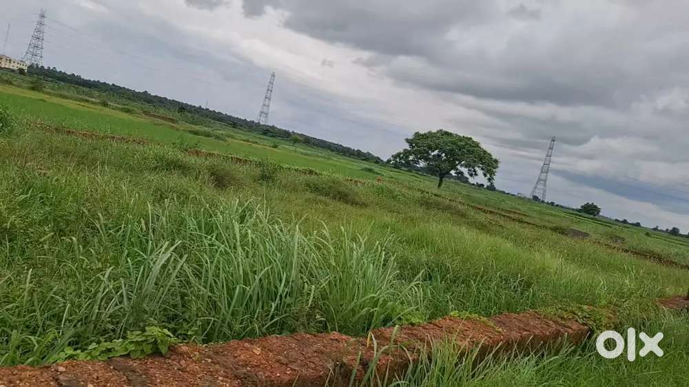 New plot sale near nh 16 pitaplli