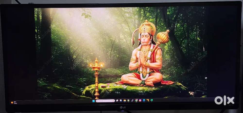 ULTRAWIDE LG monitor