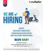 Delivery executive