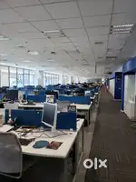 Female Personal  assistant
