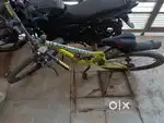 1 year old and new cycle