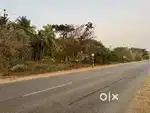 *HIGHWAY* - 5 Acres Coconut farm