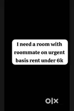 Need a female flatmate to share rent in vijay nagar and near by area
