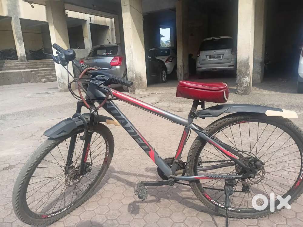 Bicycle with gear