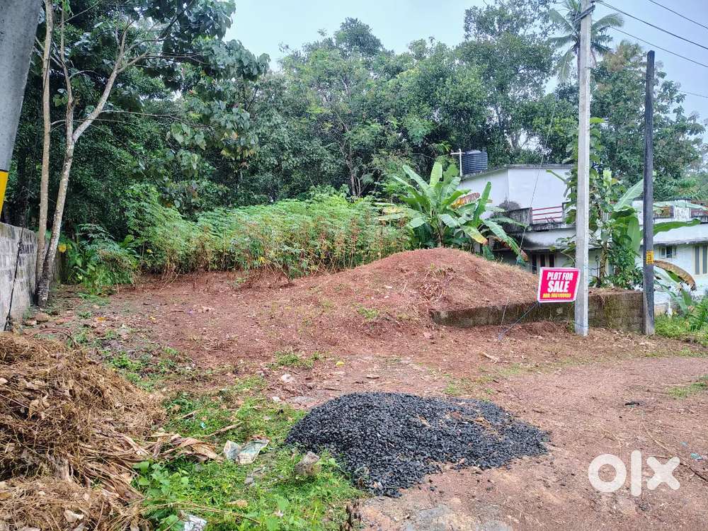 Paippadu 6 cent sqr plot