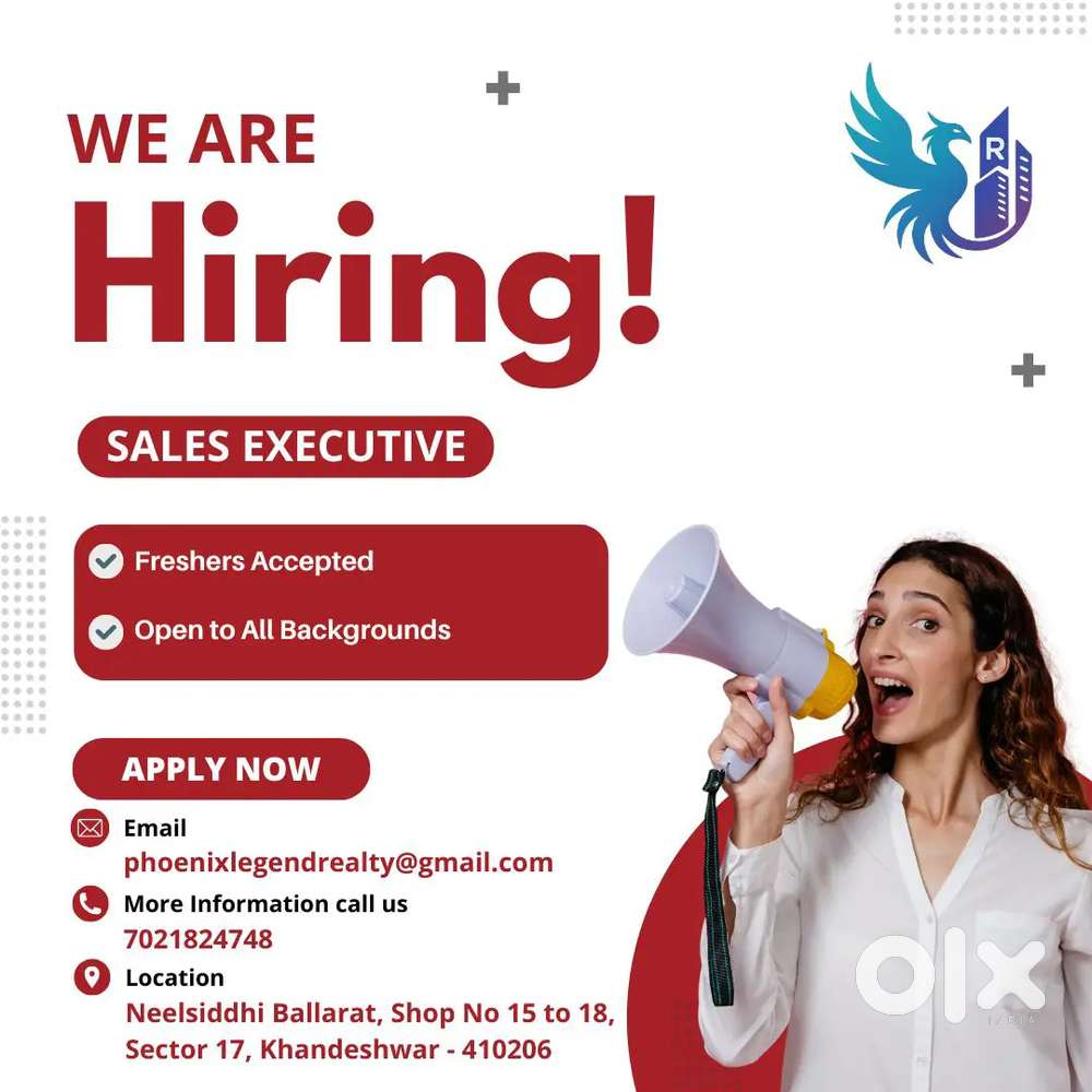 Salss executive