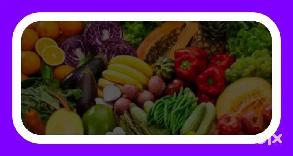 ऑल लोकेशन जयपुर