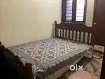 Furniture - Family cot