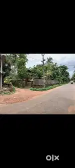7.85 cent (kannur)good straight plot with all accessible area