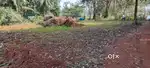 15 Cents site for Sale in Pangala with 9/11. 3 Lakhs per cents