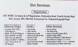 Expert CA services| Accounting,GST,ITR,ROC Compliances|Affordable rate