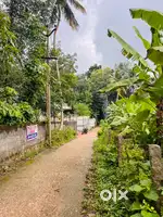 Near karakonam