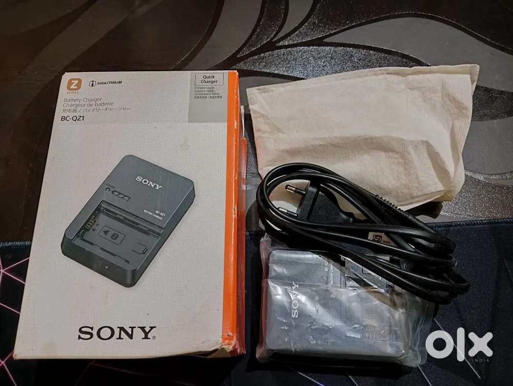 Sony FZ100 battery charger