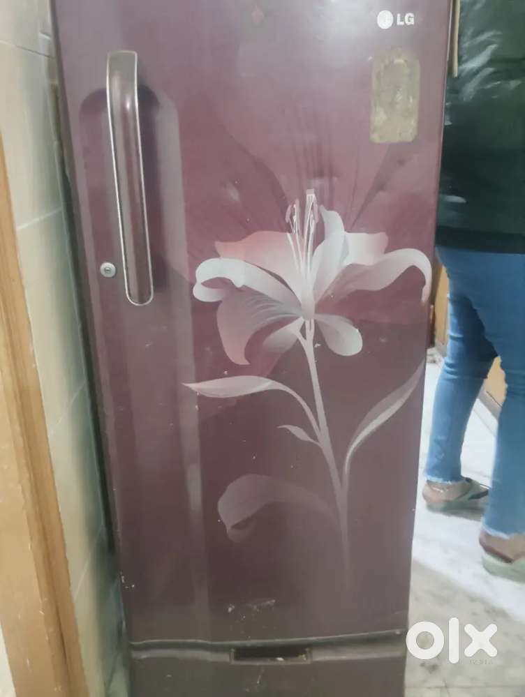 Lg single door fridge