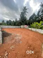 7 cents for immediate sale , near thirumala