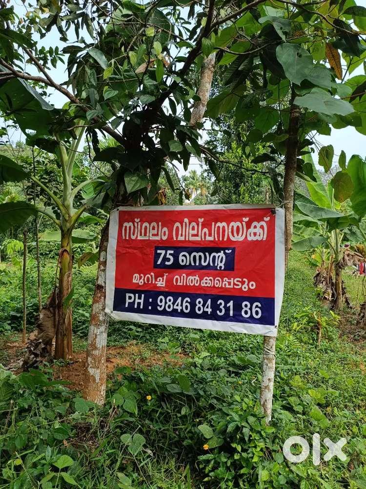 Plot for sale in Meloor