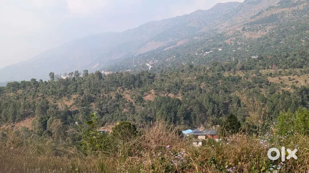5/6/7 Biswa land for sale, Rate is per biswa