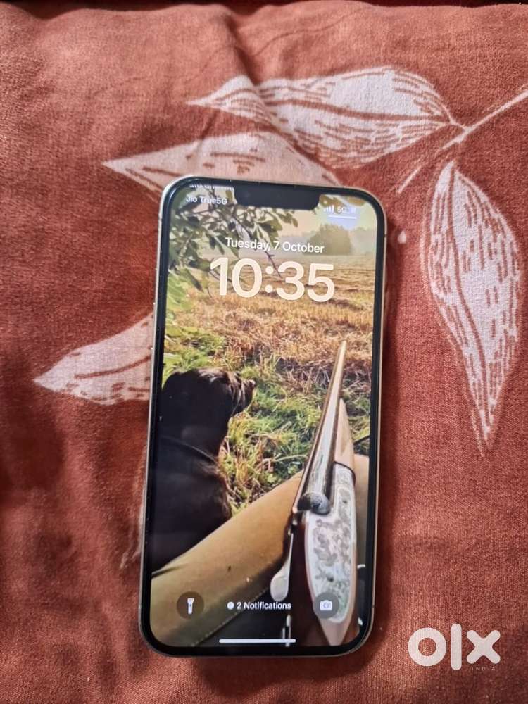 Iphone 13 pro