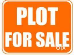 Plot available hem bagh patiala 250 sq yard