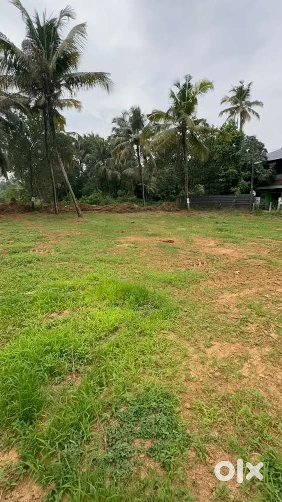 43 cent residential plot for sale in Nadathara,Thrissur