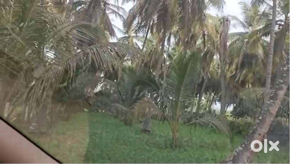 2 Acre 20 Gunta Land for Sale – in Kanakapura