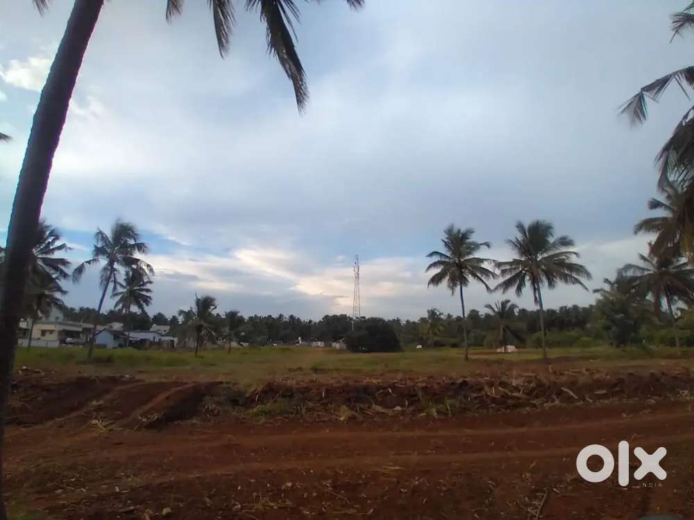 Land for rent in Pollachi kunjipalayam