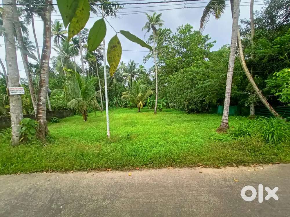 Coconut plantation property in Manacadu, vallikunnam, Alappuzha dist