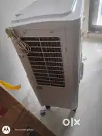King star cooler