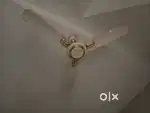 4 Fully functional ceiling fan