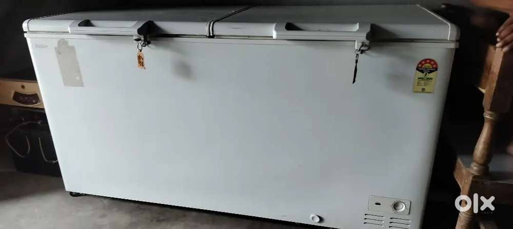 Haier D Fridge 2024 model