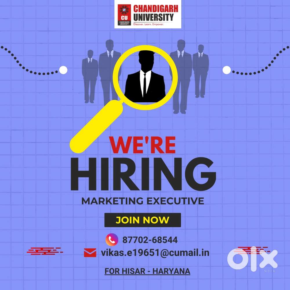 Marketing Exective for Hisar and Nearby Districts