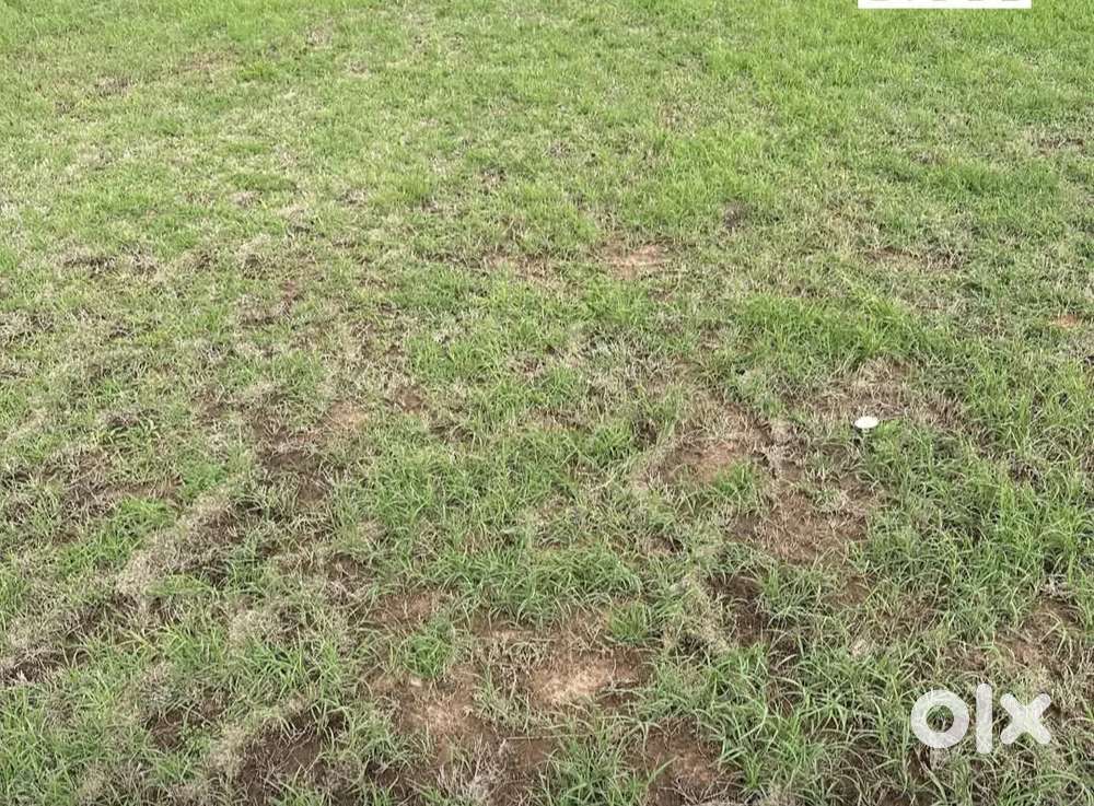 6 Marla plot for sale in Nayagaon