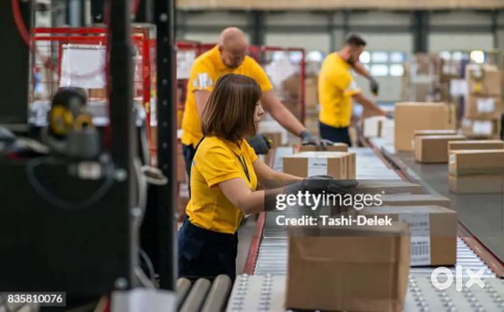 WARE HOUSE, PACKING, HELPER, SCANNING, LOADING UNLOADING,