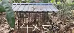 Dog cage sale