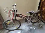 Brand New Bicycle for kids