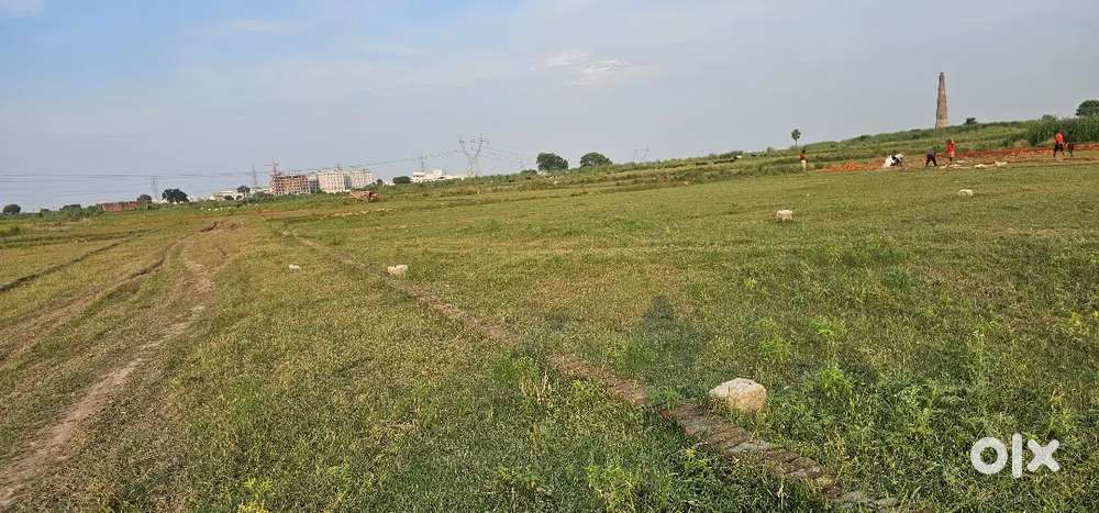 Plots in prime location