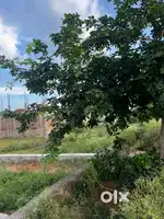 Best plot in sitapura near beelwa phatak jaipur