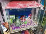 Aquarium tank