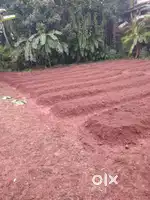 Land for sale near ramanattukara bypass jn