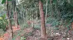 P-01153: Plot For Sale In Chalakkara,Kannur