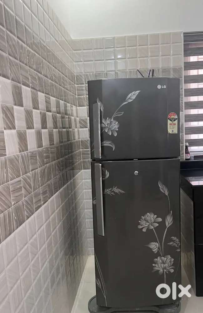 Refrigerator Double Door (LG) 4 star