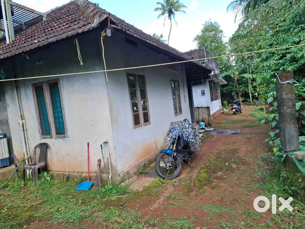 2 bhk 2 houses for sale near Aluva Chembarakky