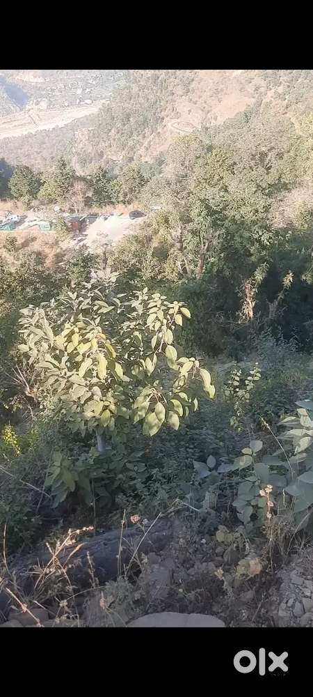 Perfect land for those who are looking for a place in peace mountains